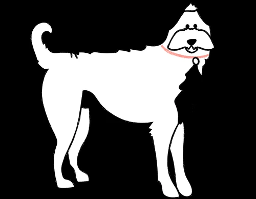 Dog being examined by veterinarian at Glendale Small Animal Hospital