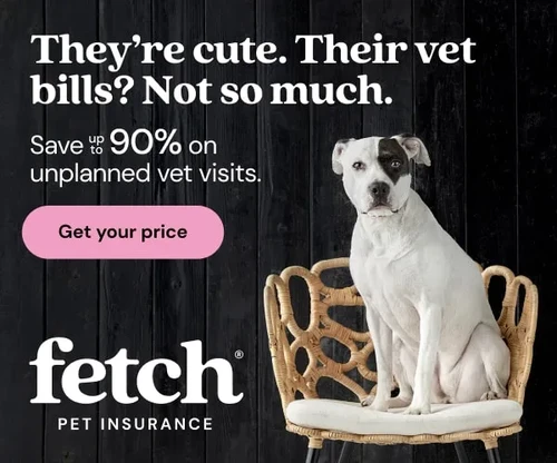 Veterinarian with dog at Glendale Small Animal Hospital